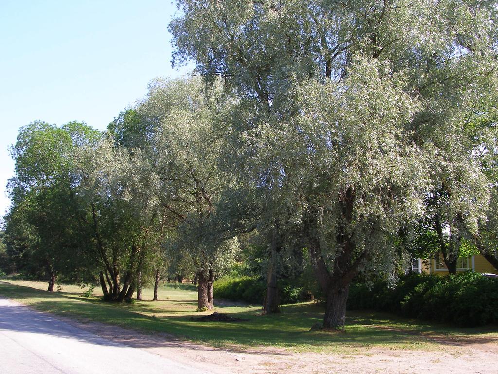 Treimani Rannamaja Villa Екстериор снимка