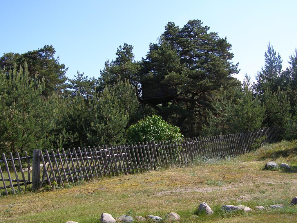 Treimani Rannamaja Villa Екстериор снимка